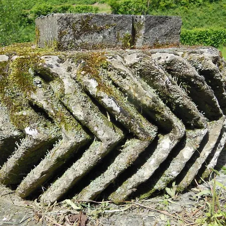 Casa Caselli Martino Montepiano